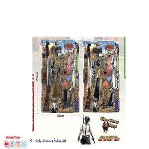 A Set of Rifles and Pistols with Small Balls