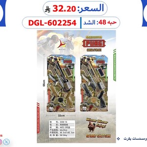 A Set of Rifles and Pistols with Small Balls