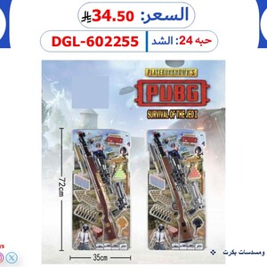 A Set of Rifles and Pistols with Small Balls