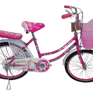 سيكل بناتي بسلة مقاس 20 'DG20JI'