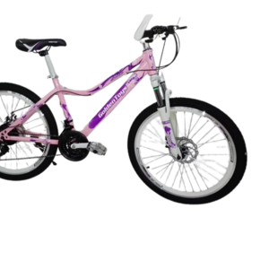 سيكل سرعات اسيام 'LM-M24